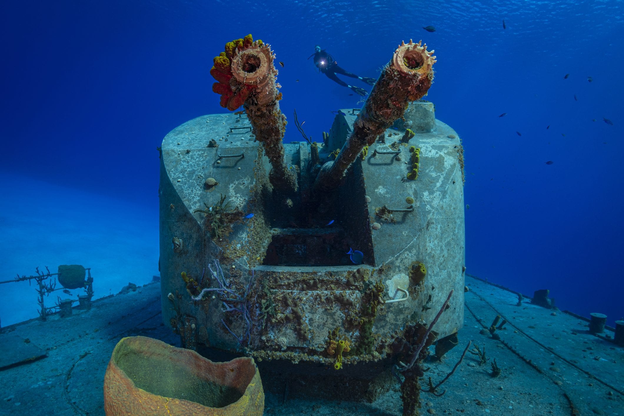 Scopri di più sull'articolo Un Mar Baltico sommerso dalla Guerre: il veleno ecologico delle armi inesplose, i rischi per la pesca e i danni alla salute