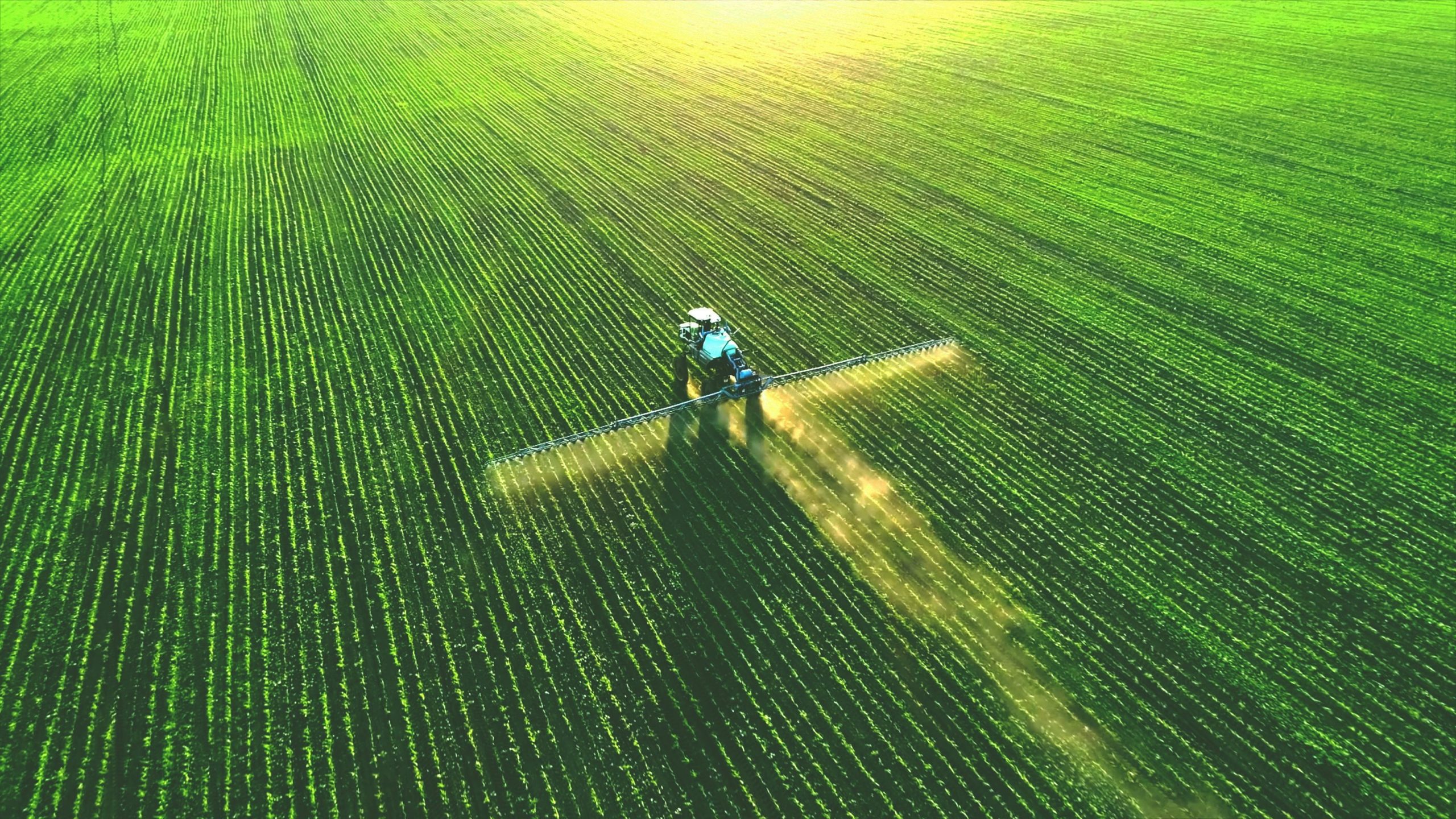 Scopri di più sull'articolo L’urina umana può essere usata come fertilizzante? Dall’Africa all’Europa, si studiano nuovi sistemi di economia circolare