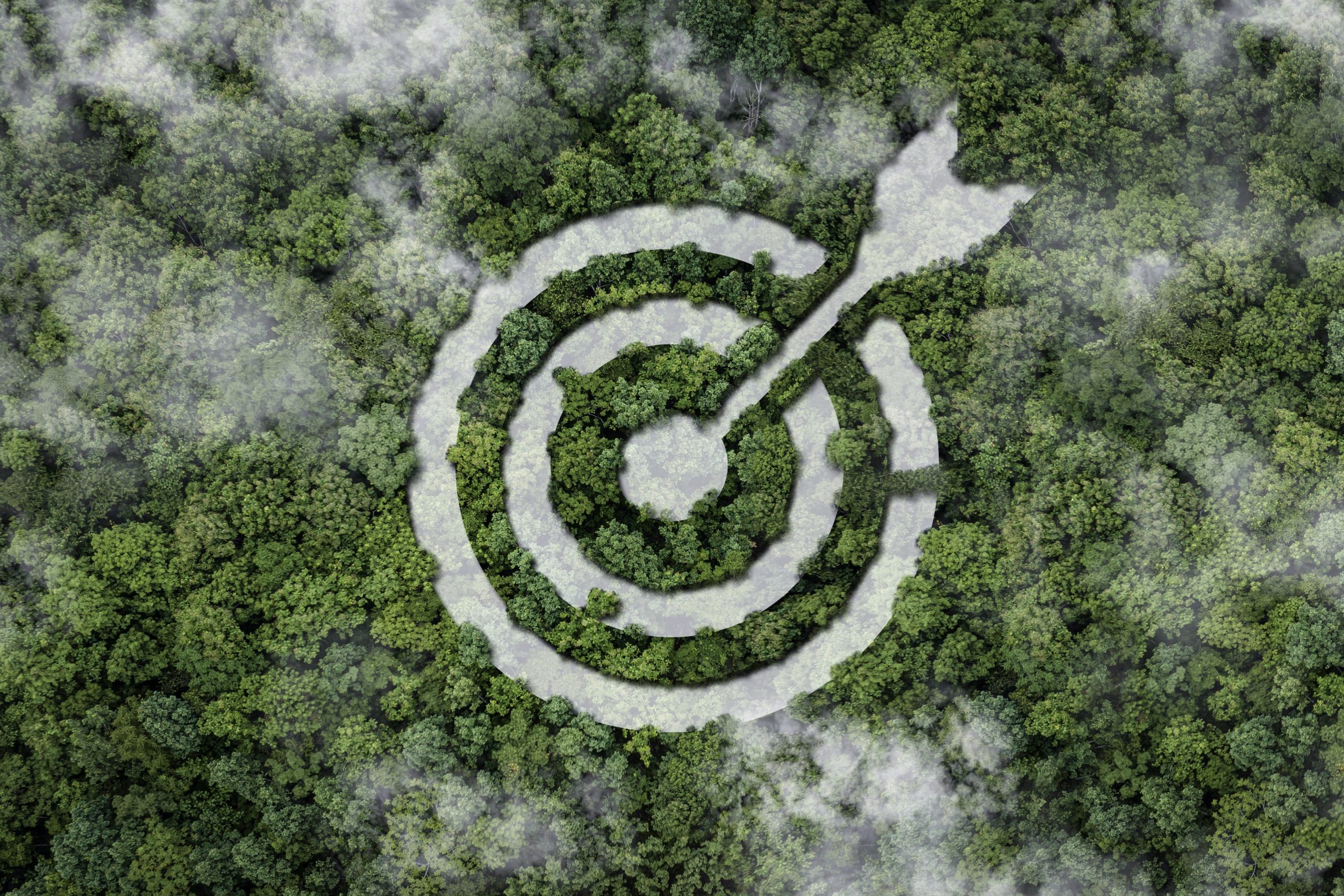 Scopri di più sull'articolo “Una legge sul clima” Arriva al Senato la proposta di Wwf, Greenpeace e Legambiente