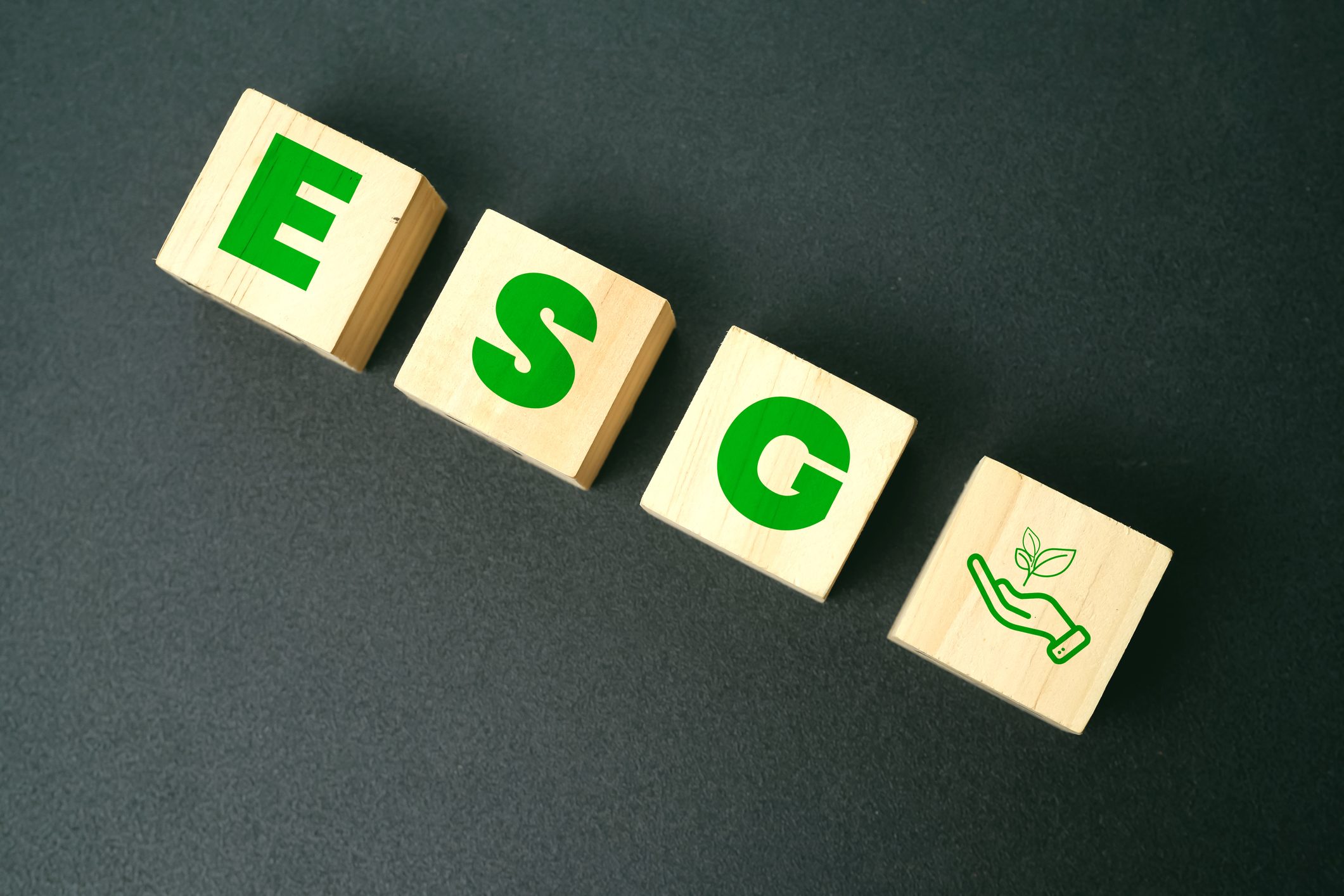 Scopri di più sull'articolo ESG Ratings, cosa sono i fondi sostenibili che giudicano lo stato di salute di aziende e Paesi?