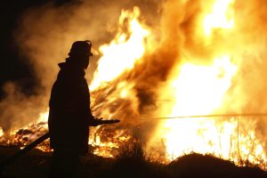Scopri di più sull'articolo Il Drago Vaia distrutto da un incendio potrebbe rinascere grazie a una raccolta fondi locale