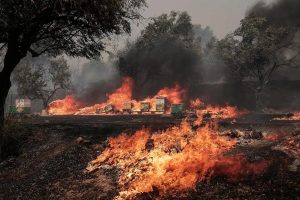 Scopri di più sull'articolo Finita l’estate il Sud Italia continua a bruciare: allarme incendi in Calabria e Sicilia