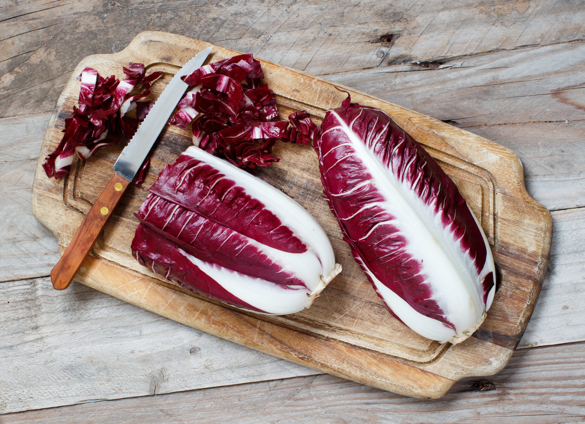 Scopri di più sull'articolo Come si coltiva il radicchio: tutti i consigli per farlo crescere nell’orto di casa tua