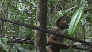 Scopri di più sull'articolo La foresta amazzonica ha ancora problemi con il marco temporal: la storia dei Kawahiva