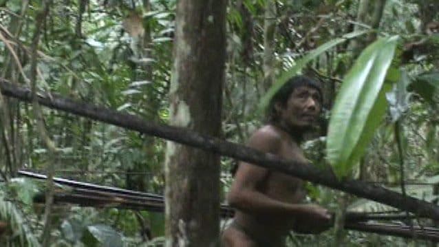 Scopri di più sull'articolo La foresta amazzonica ha ancora problemi con il marco temporal: la storia dei Kawahiva