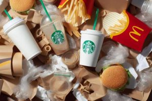 Scopri di più sull'articolo Così l’Italia ha aiutato la lobby della plastica e dei fast food affossando il regolamento UE sulla riduzione degli imballaggi