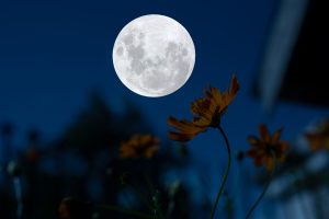 Scopri di più sull'articolo Quando ci sarà la prossima luna piena?