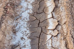 Scopri di più sull'articolo Il clima dell’Italia si africanizza: in Nord Italia è sempre più simile a quello dell’Etiopia