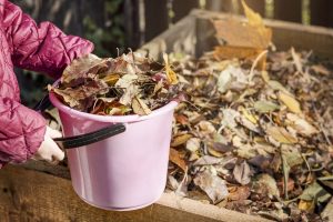 Scopri di più sull'articolo Cos’è e come funziona la pacciamatura, pratica agricola che ti tornerà utile in questa stagione