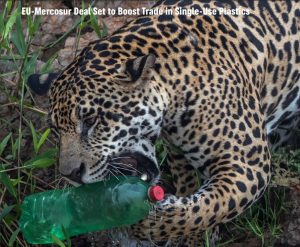 Scopri di più sull'articolo Greenpeace: l’accordo Ue-Mercosur  favorirà il commercio di plastica