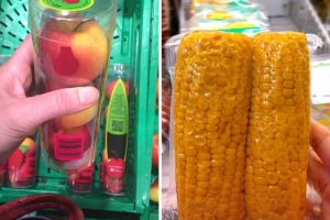 Scopri di più sull'articolo Questi sono i prodotti più assurdi imballati in packaging di plastica nei nostri supermercati