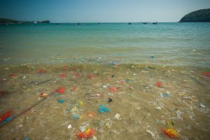 Scopri di più sull'articolo Rifiuti, plastica e liquami: ancora troppi pochi sforzi da parte del Governo per salvare i nostri mari