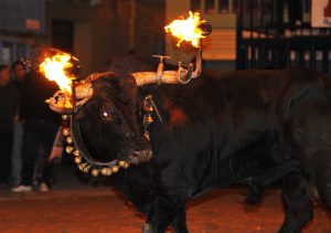 Scopri di più sull'articolo Cos’è il festival spagnolo del Toro Jubilo, l’ennesima fiera crudele che dovrebbe essere eliminata