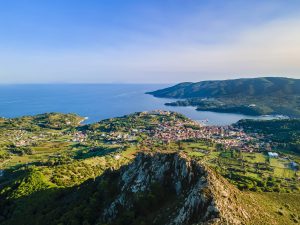 Scopri di più sull'articolo Sull’Isola d’Elba è stato scoperto un nuovo insetto: saranno i cittadini a scegliere il nome