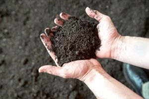 Scopri di più sull'articolo Il compost come strumento per proteggere suolo e acqua dalla crisi climatica