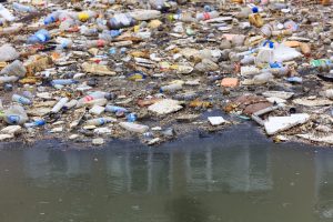 Scopri di più sull'articolo Salvamare, parte il primo programma sperimentale per il recupero delle plastiche nei fiumi