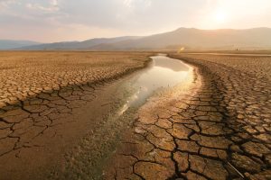 Scopri di più sull'articolo Il più grande lago salato del Medio Oriente si sta prosciugando