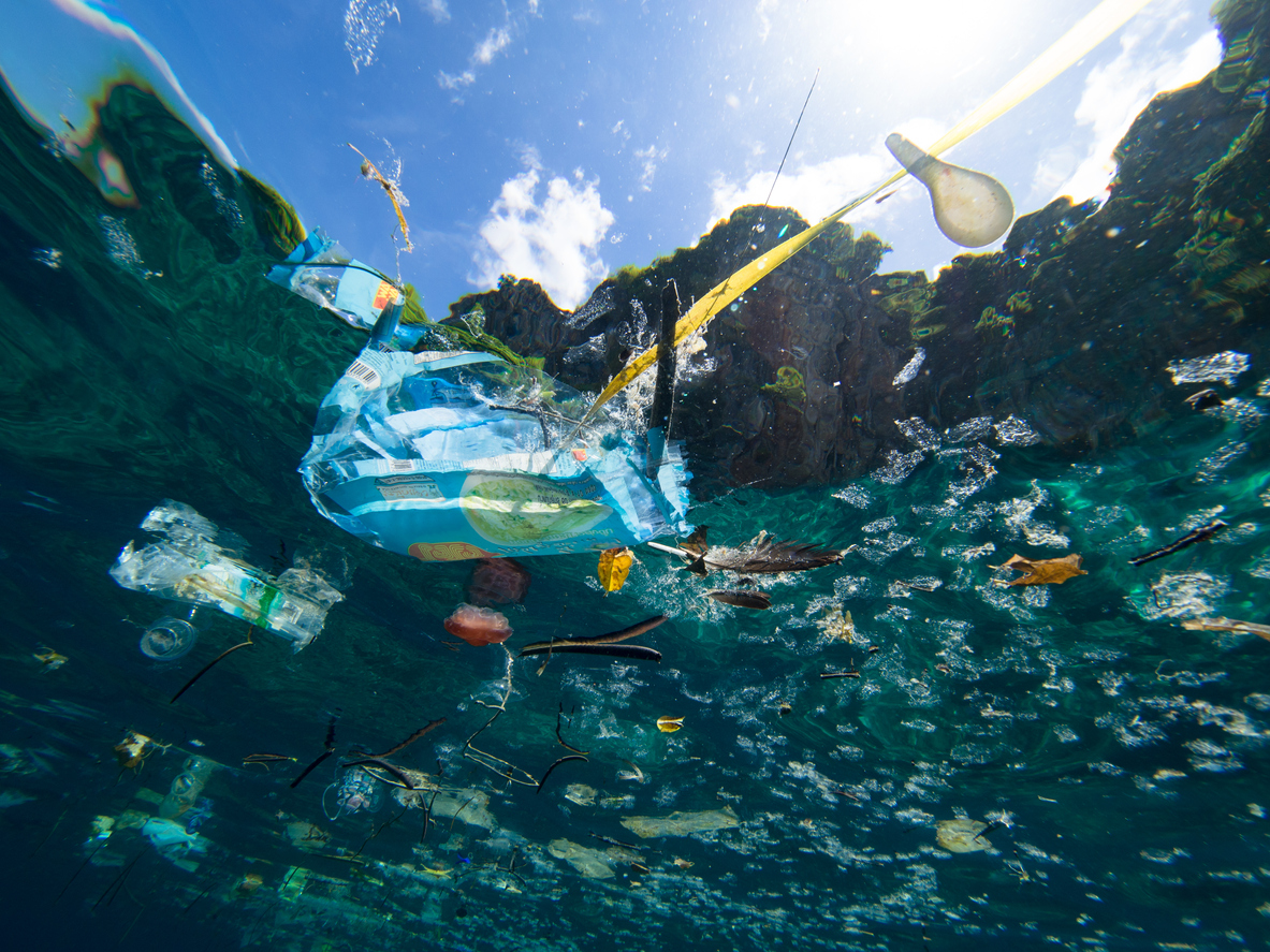 Scopri di più sull'articolo Salvamare: al via il primo programma nazionale di recupero delle plastiche nei fiumi