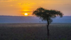 Scopri di più sull'articolo Le violente inondazioni e frane in Tanzania hanno provocato circa cinquanta morti e decine di feriti