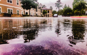 Scopri di più sull'articolo Città resilienti nel mondo: l’adattamento climatico nei centri urbani