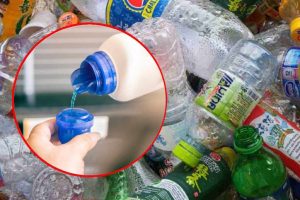 Scopri di più sull'articolo Incredibile! Questo enzima presente nei detersivi per bucato è in grado di degradare la plastica in sole 24 ore