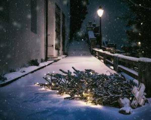 Scopri di più sull'articolo Dove buttare l’albero di Natale e i pezzi del presepe