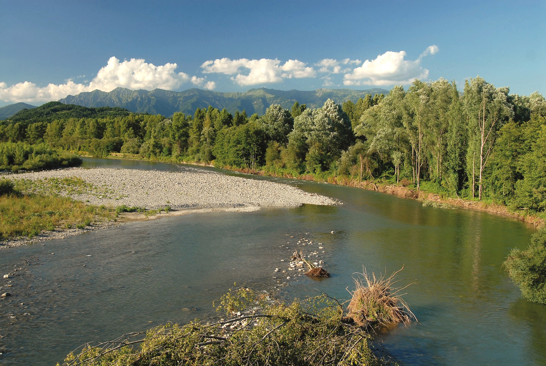 Scopri di più sull'articolo PFAS nei fiumi toscani: Legambiente: identificare le aziende che causano inquinamento