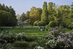 Scopri di più sull'articolo Parco 8 marzo a Milano: cosa vedere nella nuova area verde di Porta Vittoria