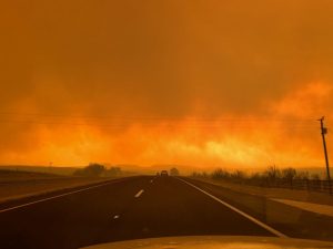 Scopri di più sull'articolo Texas in fiamme, è l’incendio più grande nella storia dello Stato: morti 10mila animali, per gli altri la soppressione