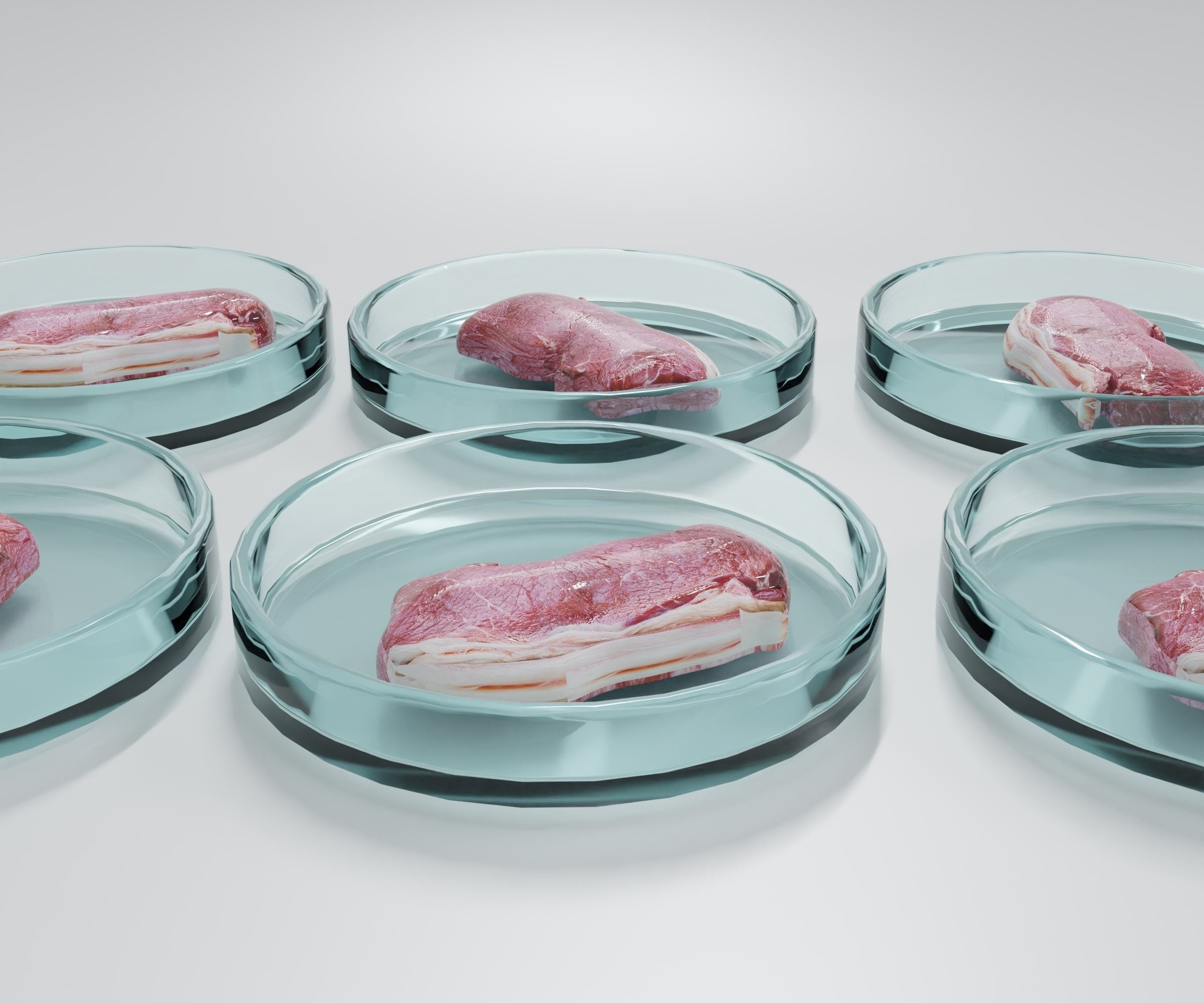 Scopri di più sull'articolo Carne non carne: i 4 modelli di produzione che potrebbero salvare la vita agli animali