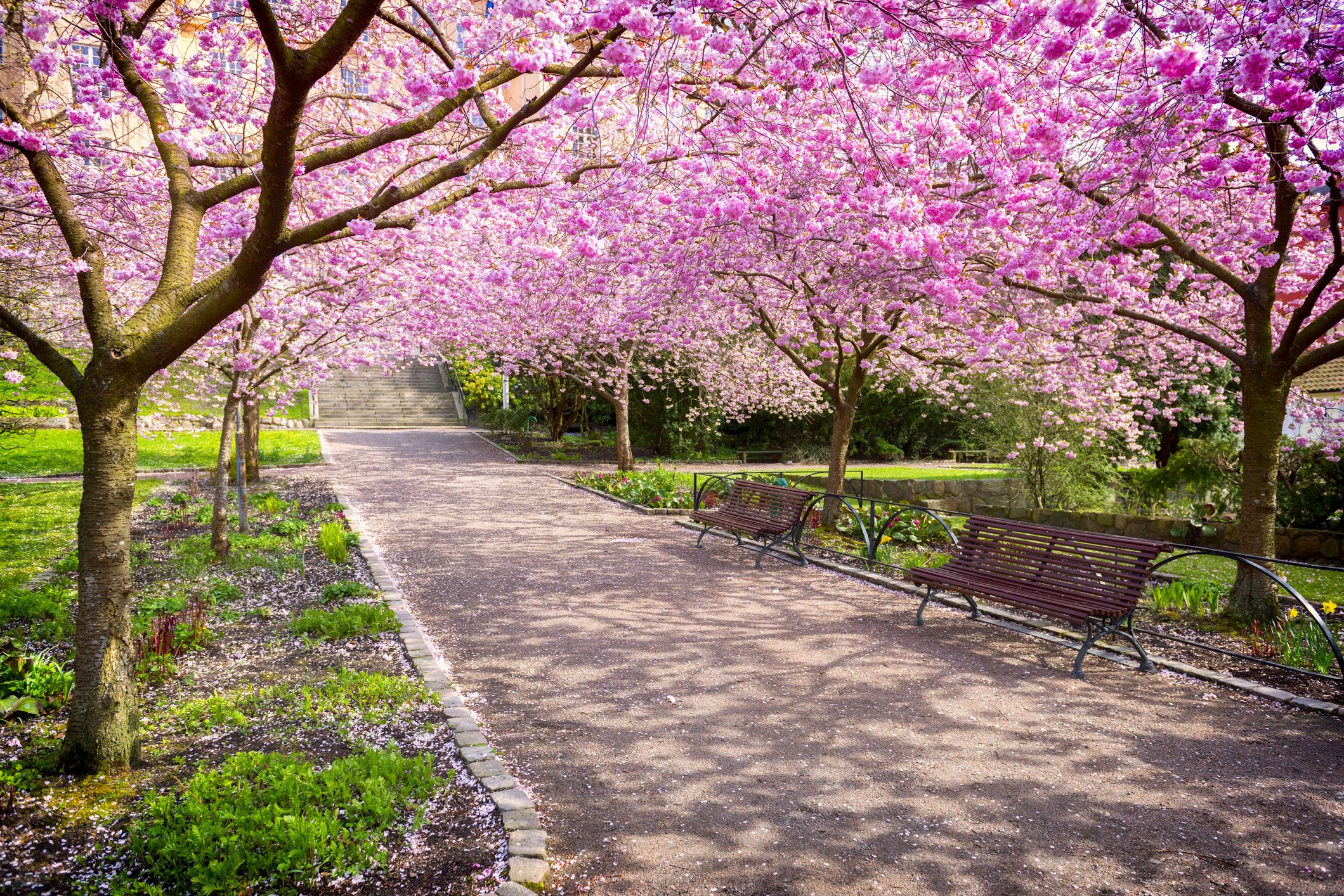 Scopri di più sull'articolo Come prenotare una visita gratuita al giardino giapponese di Roma e cosa puoi vedere