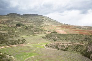 Scopri di più sull'articolo Waru waru: cos’è e come funziona l’antica tecnica di coltivazione andina che evita lo spreco di acqua