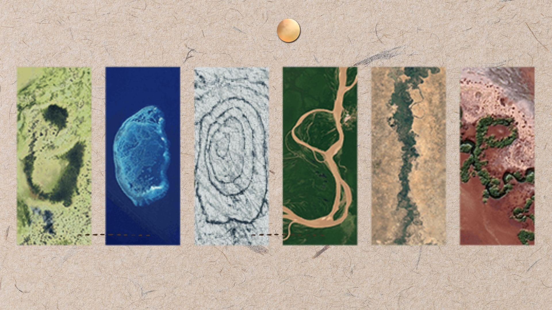 Scopri di più sull'articolo Il Doodle di Google per la Giornata della Terra 2024: il significato dietro le lettere