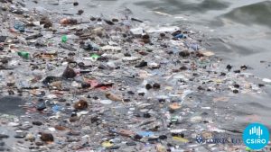 Scopri di più sull'articolo Sul fondo degli oceani ci sono 11 milioni di tonnellate di plastica