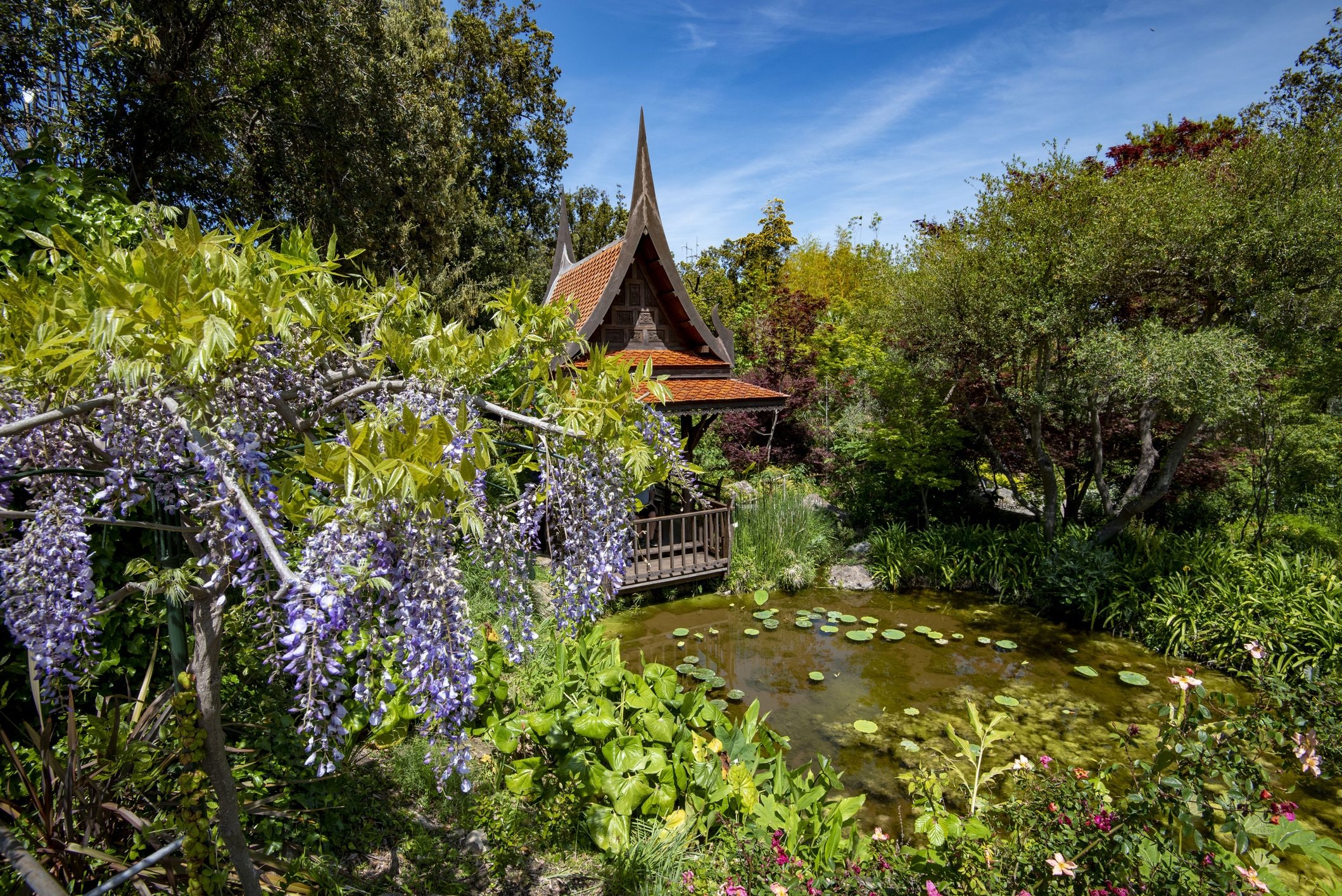 Scopri di più sull'articolo Cosa puoi vedere ai giardini La Mortella, uno dei parchi più belli di Europa