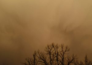 Scopri di più sull'articolo La polvere del Sahara ha colorato di rosso anche le Alpi: ma quali sono i suoi impatti?