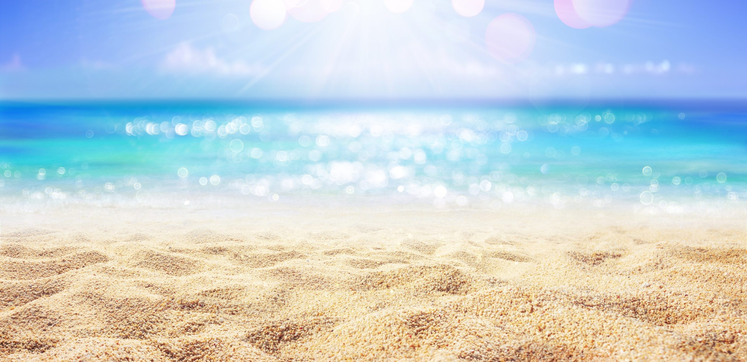 Scopri di più sull'articolo Plastica o uova? Perché non dovresti toccare i nastri di sabbia che trovi sulla spiaggia tra aprile e giugno