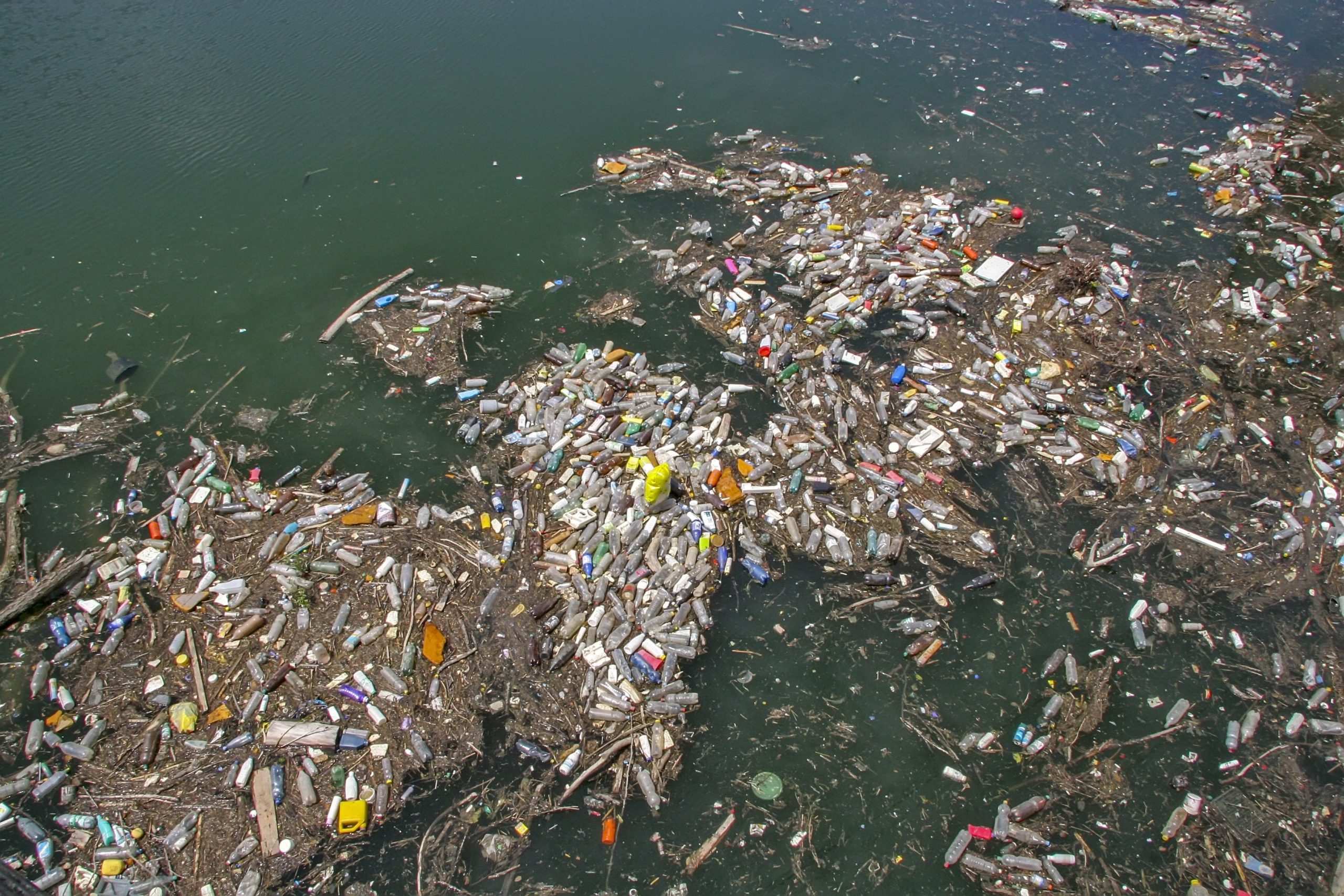 Scopri di più sull'articolo Borse frigo termiche create con gli scarti di cocco: un nuovo modo per contribuire alla lotta alla plastica