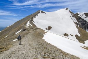 Scopri di più sull'articolo I 6 migliori sentieri di trekking nelle Marche: dai Monti Sibillini al Conero, i consigli per una primavera nella natura