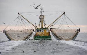 Scopri di più sull'articolo La Grecia è la prima nazione europea che vieta la pesca a strascico: perché è importante per l’ambiente