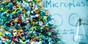 Scopri di più sull'articolo Le microplastiche passano dall’intestino ad altri organi