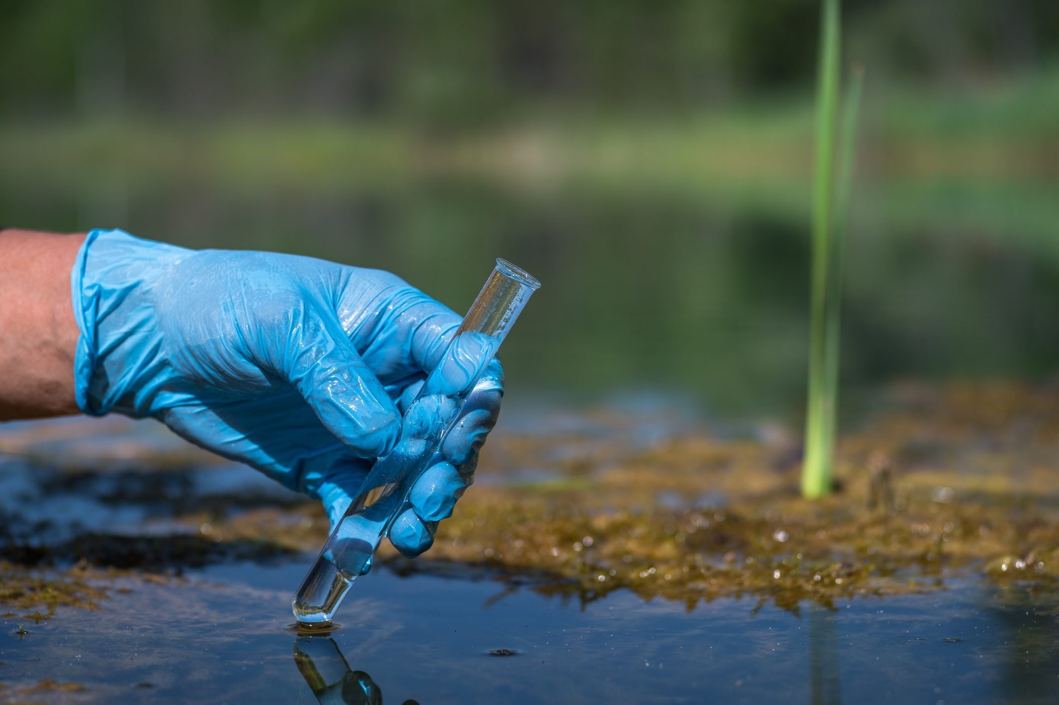 Scopri di più sull'articolo La Francia vieta ufficialmente i Pfas a partire dal 2026: in quali prodotti non ci saranno più e perché in Italia non abbiamo una legge