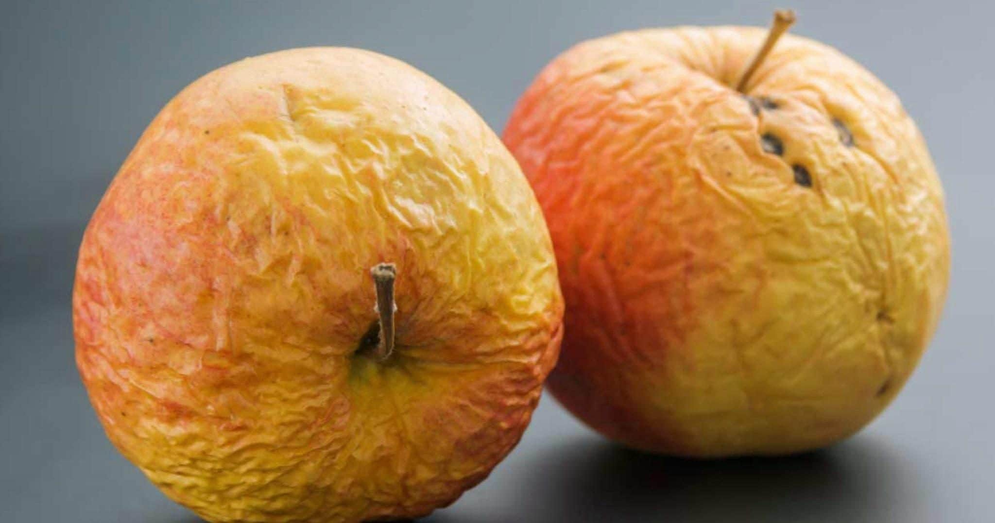 Scopri di più sull'articolo Come fare timbri con frutta e verdura per bambini: il tutorial