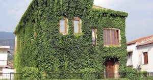 Scopri di più sull'articolo Cos’è il cappotto verde per gli edifici e perché abbatte la temperatura interna