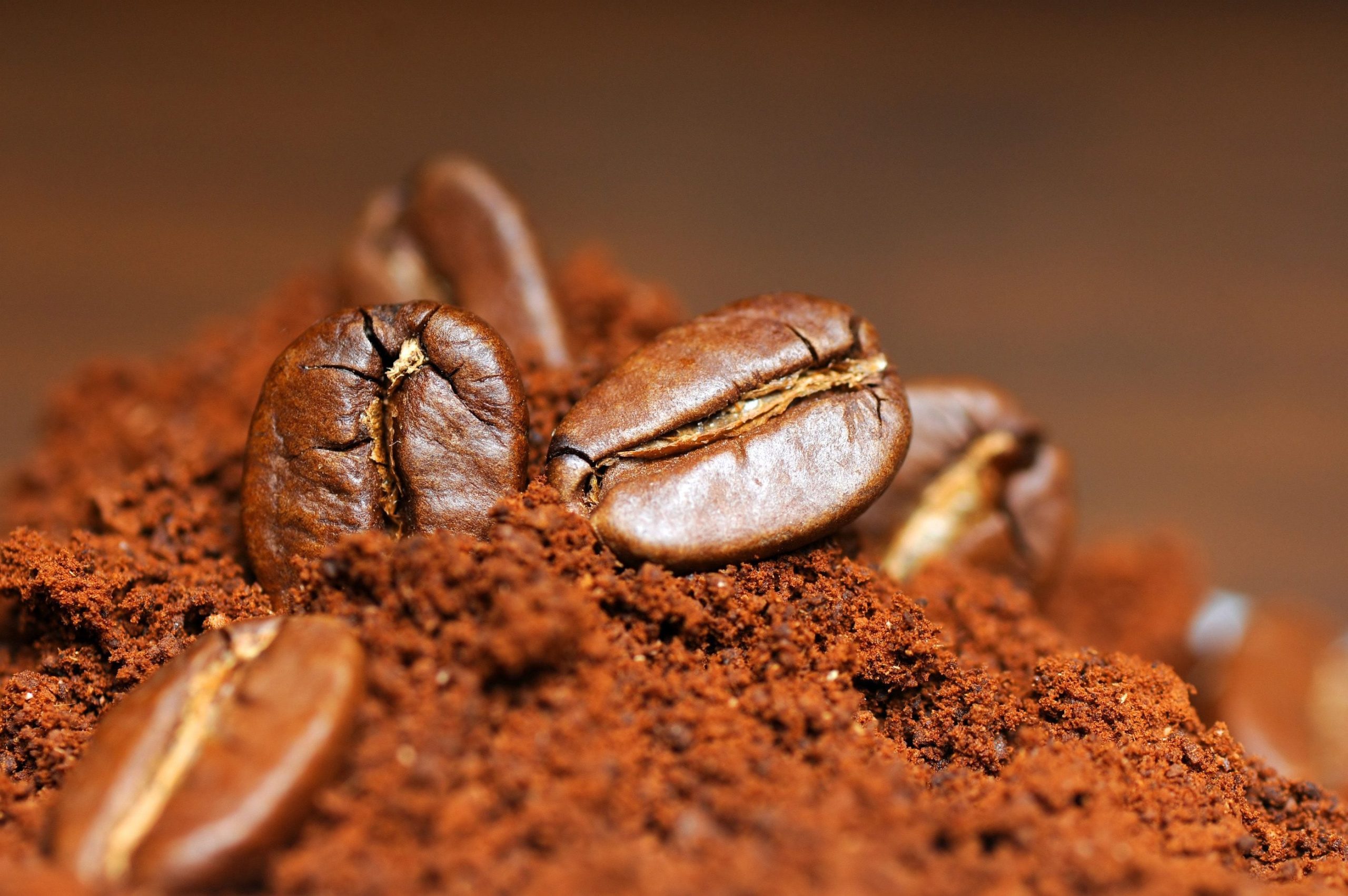 Scopri di più sull'articolo Come la carne sintetica, nasce il caffè sintetico senza caffeina: ecco cosa serve per produrlo