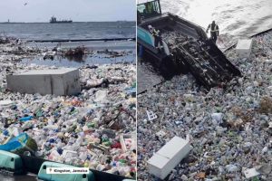 Scopri di più sull'articolo Incredibile! Guarda quanti rifiuti di plastica (e persino frigoriferi) sono stati raccolti in uno dei porti più inquinati del mondo
