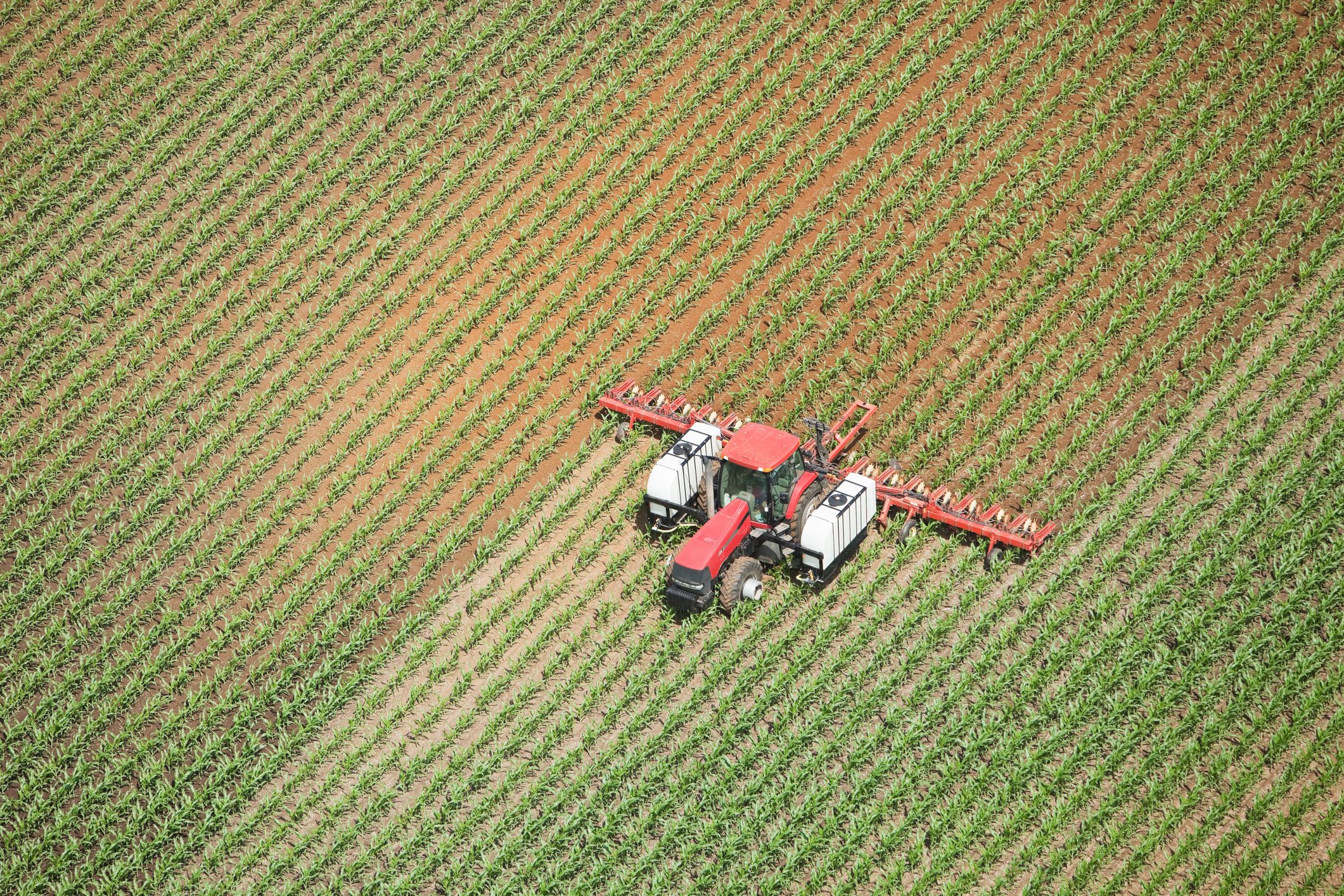 Scopri di più sull'articolo Decreto Agricoltura approvato nel Consiglio dei Ministri: quali accordi sono stati raggiunti per i pannelli solari