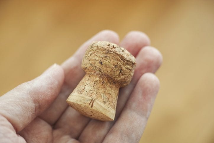 Scopri di più sull'articolo Un serpente giocattolo riciclando i tappi di sughero: come realizzarlo