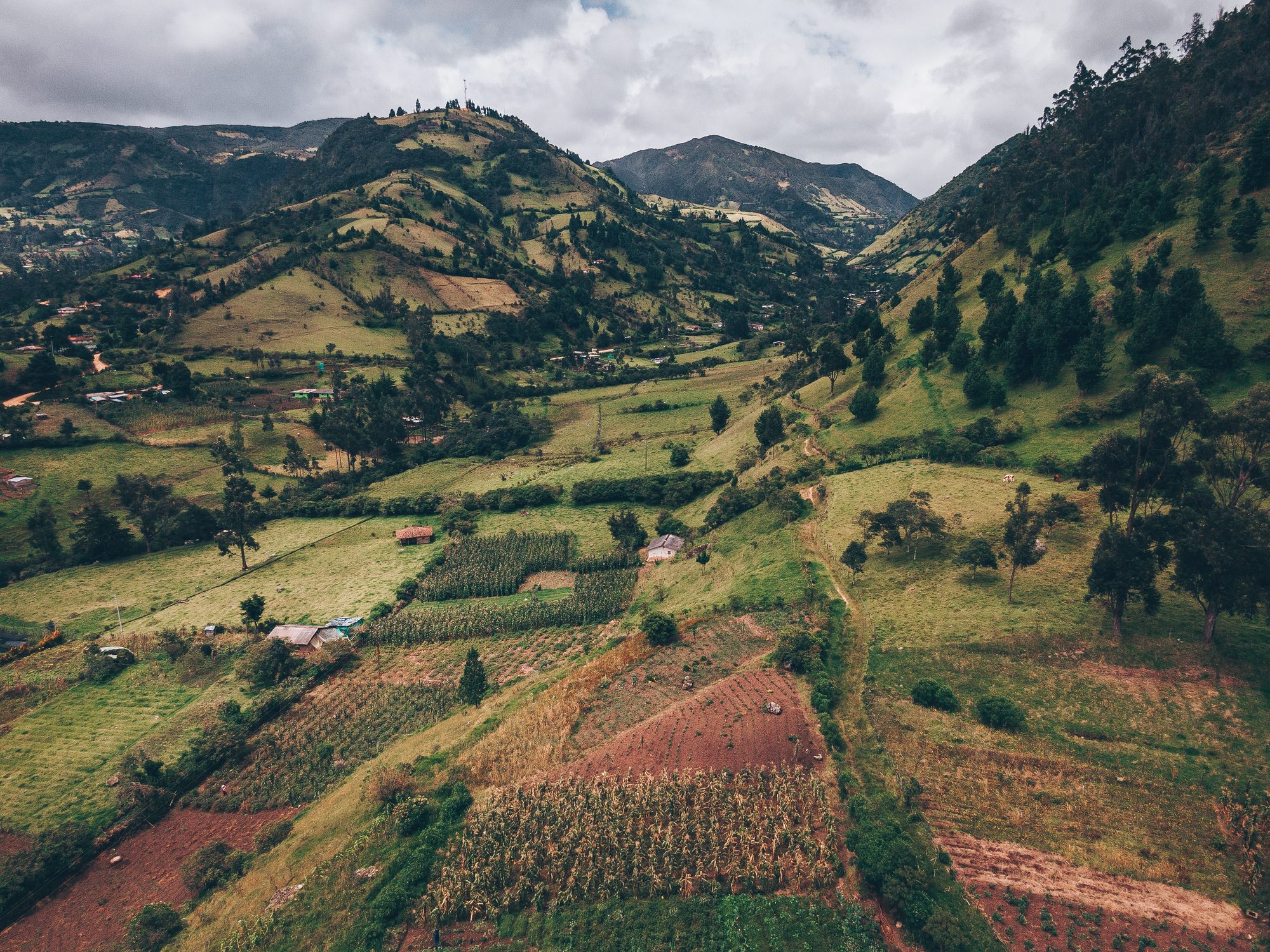 Scopri di più sull'articolo In Colombia una città è riuscita ad abbassare la temperatura reale di due gradi in tre anni