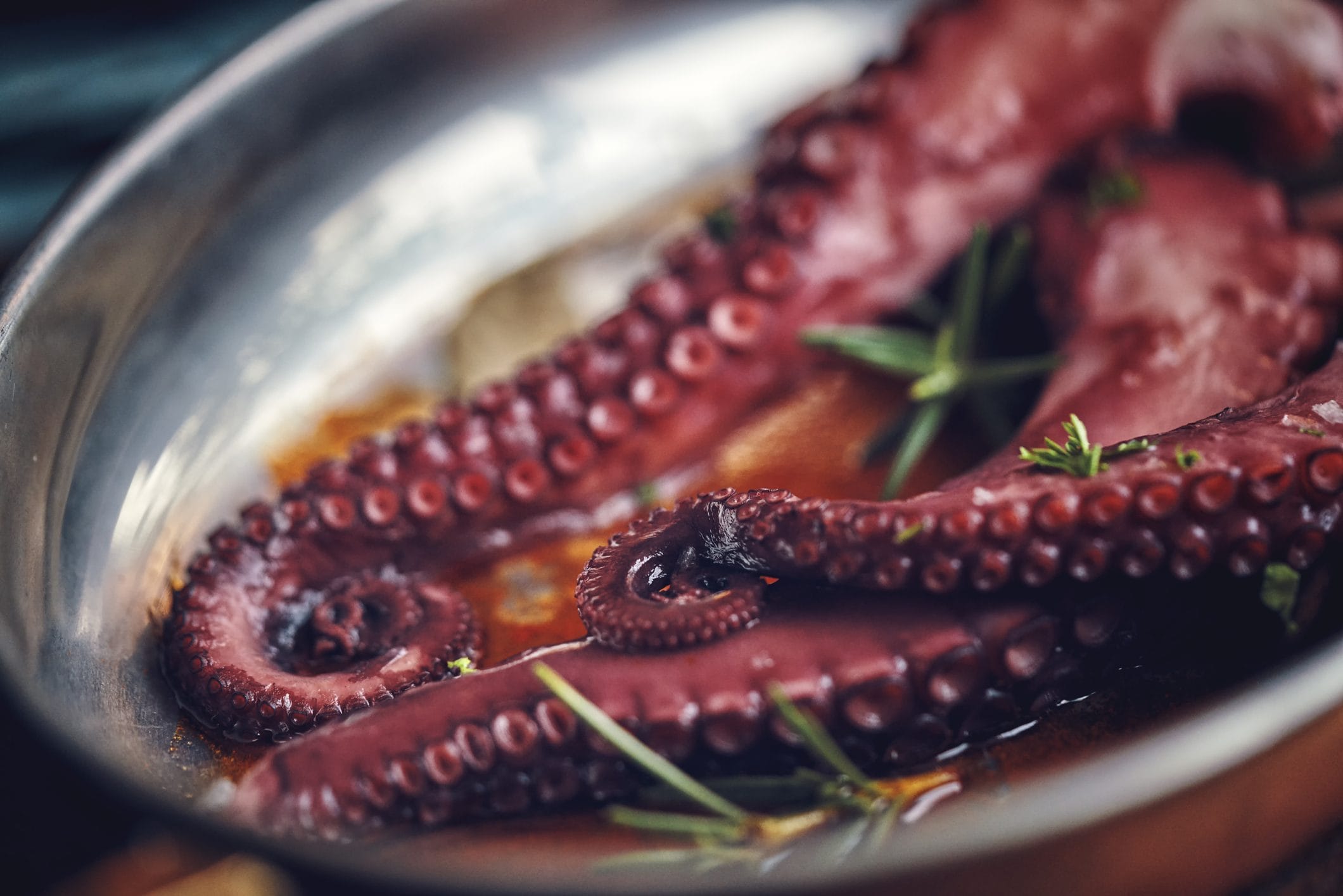 Scopri di più sull'articolo Il polpo vegan è il modo migliore per rispettare l’ambiente e il benessere della specie